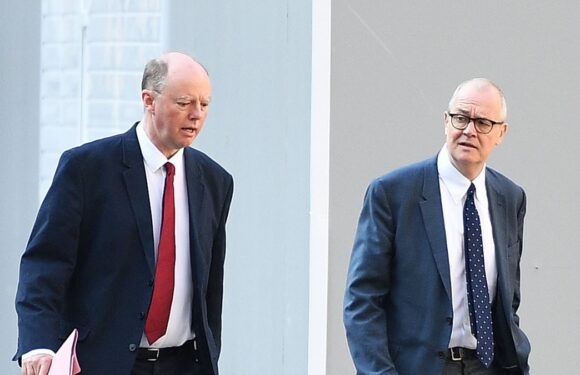 DAN HODGES: Even the experts didn't understand the Covid science