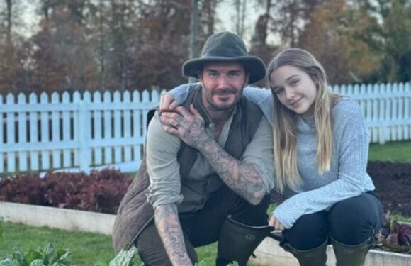 David Beckham spends quality time with daughter Harper, 12, as he posts sweet snap