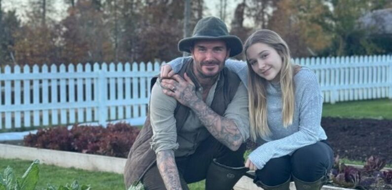 David Beckham spends quality time with daughter Harper, 12, as he posts sweet snap