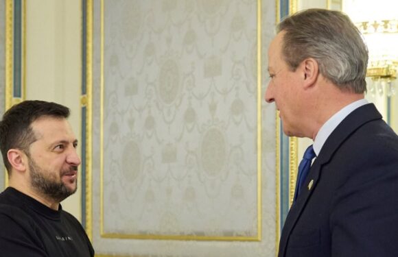David Cameron lands in Ukraine: Ex-Prime Minister meets Zelensky