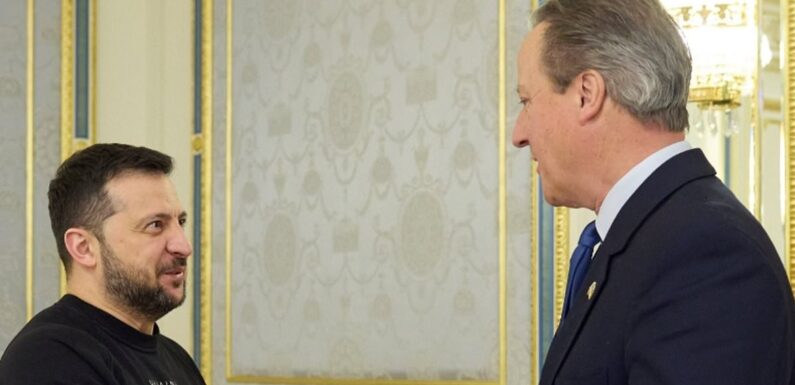 David Cameron lands in Ukraine: Ex-Prime Minister meets Zelensky