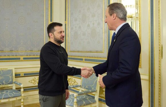 David Cameron meets with Ukraine’s president Zelensky on his first official visit as Foreign Secretary | The Sun