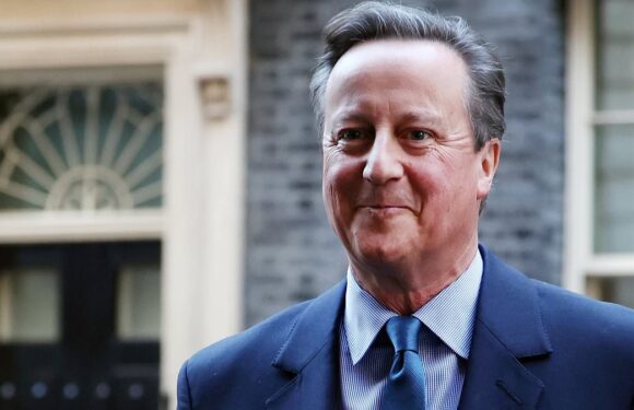 Desperate Rishi turns to the Cameroons in reshuffle