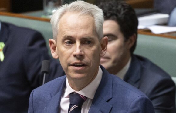 Detainees could be released within days after High Court ruling