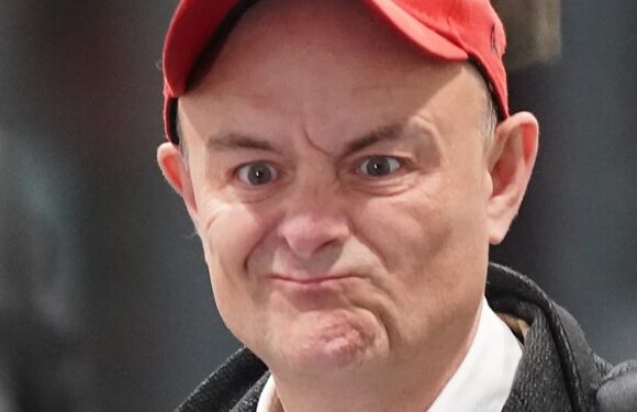 Dominic Cummings' WhatsApps 'will put women off entering politics'