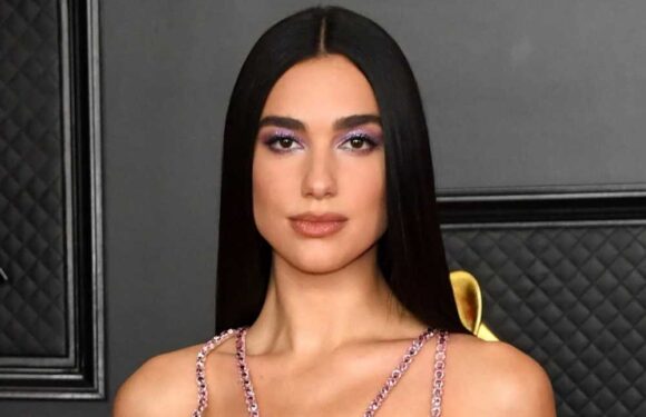 Dua Lipa and Harry Styles helped UK music exports hit £4billion last year – is your favourite a top earner? | The Sun