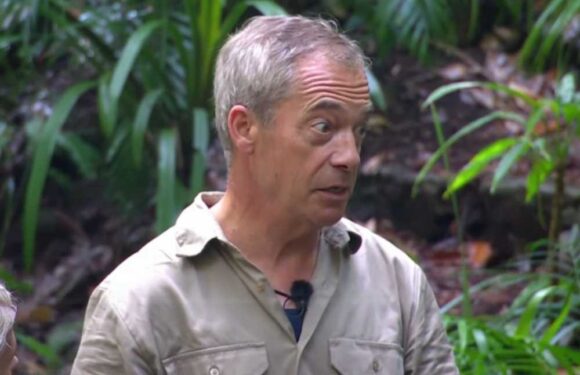 Eagle-eyed I’m A Celeb fans spot campmate’s ‘secret tactic’ after rows kick off between Nigel Farage and Nella Rose | The Sun