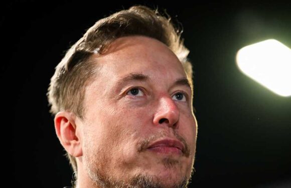 Elon Musk Sees 'Truth' in Antisemitic Tweet About Jews Hating Whites