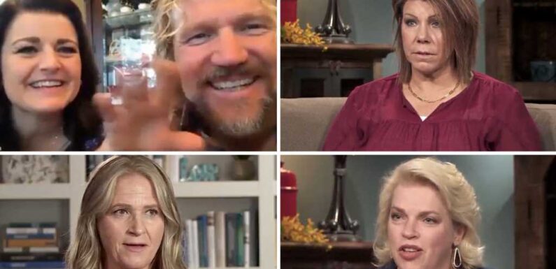 Estranged Sister Wives Family Reunites for Gender Reveal – But One Wife Wasn't Invited!