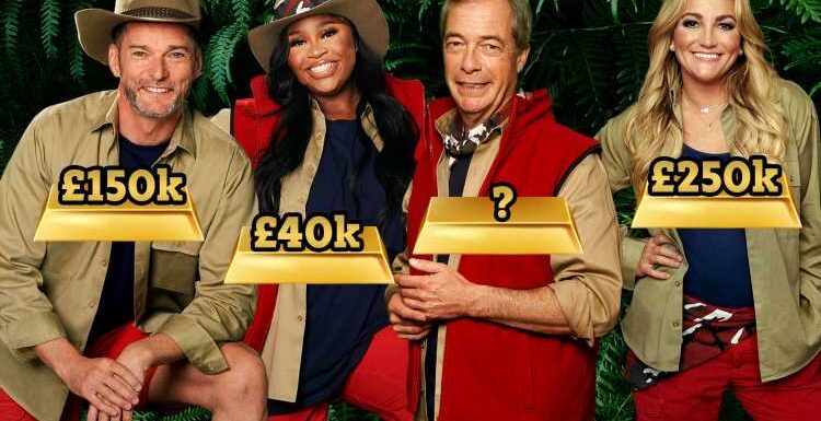 Expert reveals how much the I’m A Celebrity cast are really being paid after Nigel Farage lands biggest ever pay day | The Sun