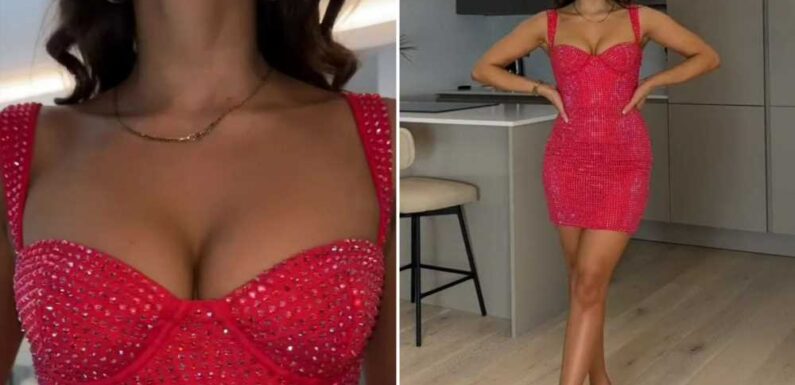Fashion fan claims to have found the 'perfect' Christmas party dress – it's red, sparkly and fits like a glove | The Sun