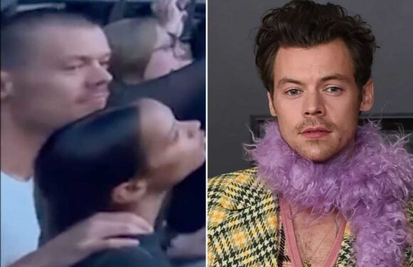 First look at Harry Styles with a buzzcut as One Direction star shaves off his famous hair – and fans are devastated | The Sun