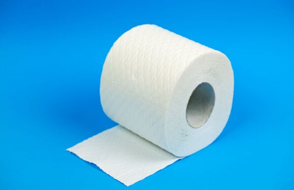 From the optimum pieces of loo paper to the best technique – how wiping your backside wrong can put your health at risk | The Sun