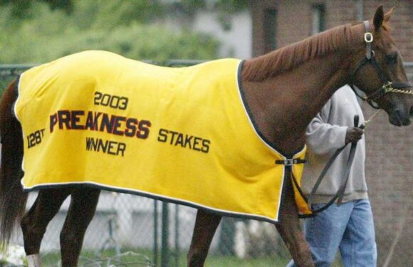 Funny Cide, Kentucky Derby-Winning Horse, Dead At 23
