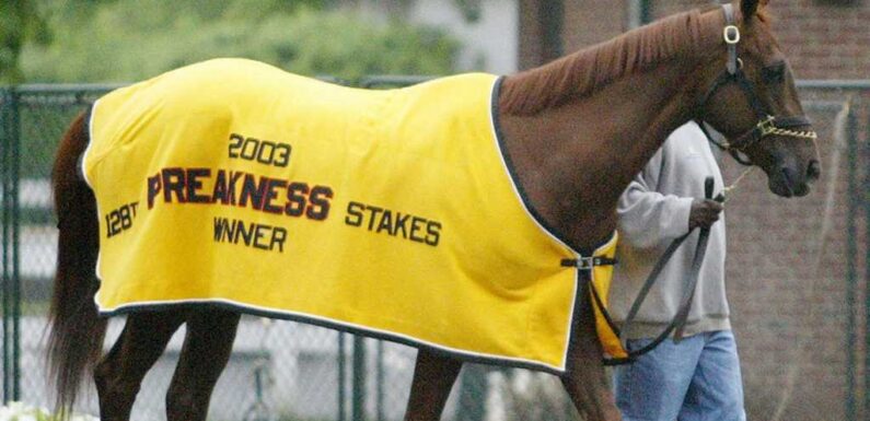 Funny Cide, Kentucky Derby-Winning Horse, Dead At 23
