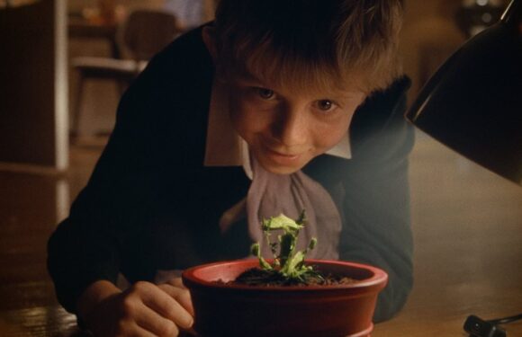 Garden centres 'struggling' to get Venus flytraps after John Lewis ad