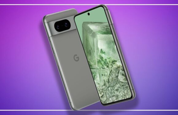 Google Pixel 8 review: Go-to Android excellence