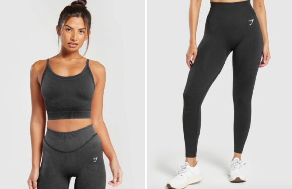 Gymshark announces huge Singles Day flash sale with 22% off EVERYTHING – here's what to buy | The Sun