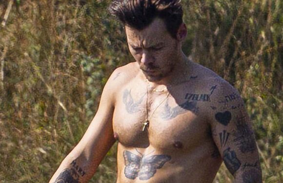 Harry Styles and Taylor Russell take their romance to the next level