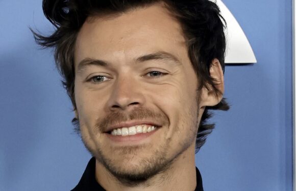 Harry Styles shows off his shaved head in promo snap
