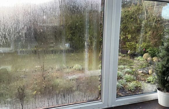 Home expert shares money-saving £3.49 gadget to stop window condensation and keep the house warm | The Sun