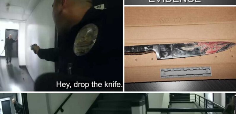 Horrific Video Shows Stabbing Rampage Before Suspect Turns Knife on Himself As Police Tase Him