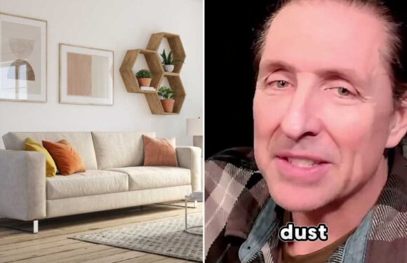 How often you should wash your sofa fabric to avoid mould | The Sun