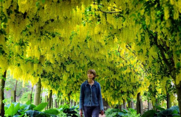 How spending time outdoors can boost your health, energy and productivity | The Sun