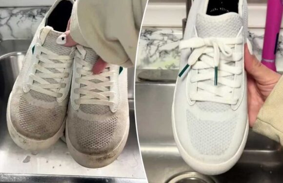 How to restore your grubby white trainers to brand new using kitchen roll | The Sun