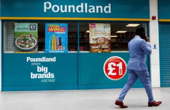 Huge blow for Poundland shoppers as takeover of Wilko store at risk & fans say they don't need 'another empty building' | The Sun