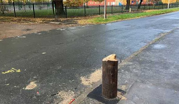 Hull vandals chop down broadband pole