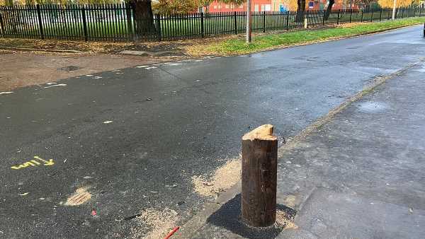 Hull vandals chop down broadband pole