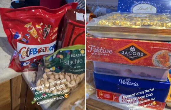 I bought my Christmas food essentials in Sainsbury’s to feed a family of 5 but only spent £15 – here’s how I did it | The Sun