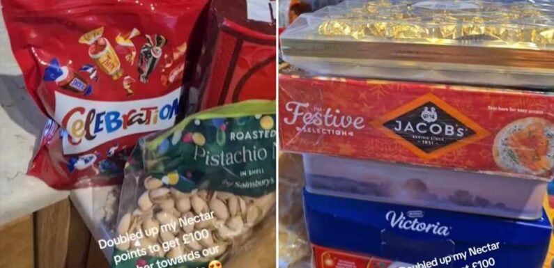 I bought my Christmas food essentials in Sainsbury’s to feed a family of 5 but only spent £15 – here’s how I did it | The Sun