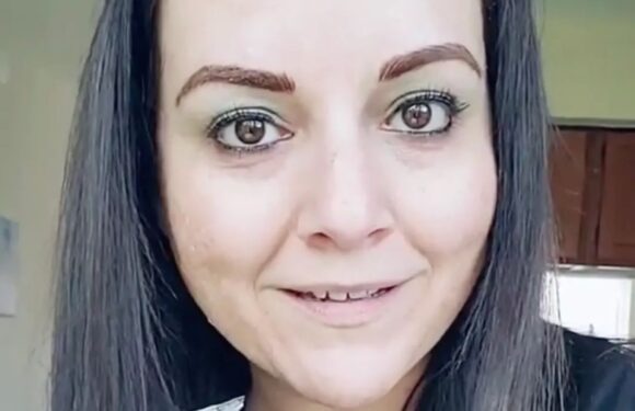 I found the cheapest hack for getting rid of mice from my home, it only costs £1.50 and they hate it | The Sun