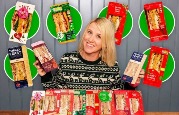 I tested 11 alternative Christmas sandwiches including Aldi & Starbucks – the winner tastes like a pricier Pret sarnie | The Sun