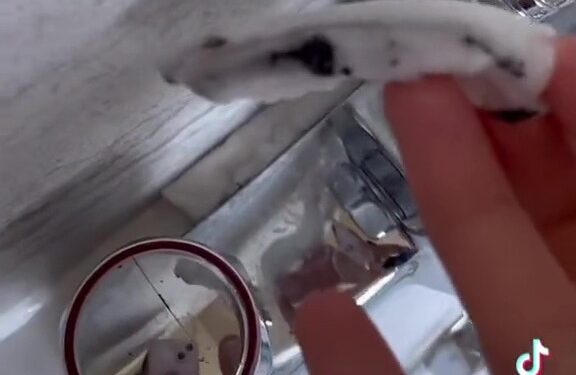 I was stunned to discover my favourite £2 laundry product helps get rid of mould for good – it’s a game changer | The Sun