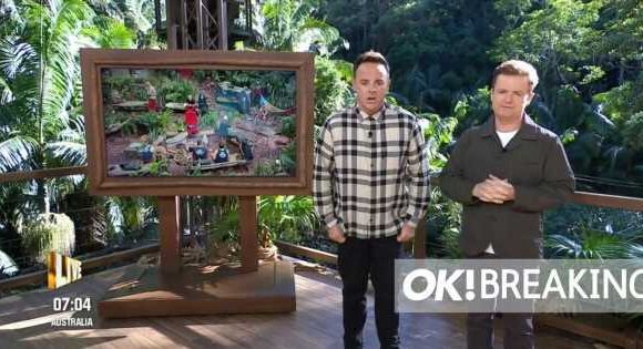 ITV I’m A Celeb hosts Ant and Dec give Jamie Lynn Spears health update after she quits