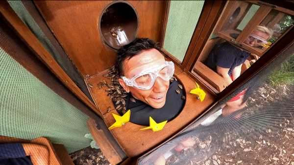 I'm A Celeb's Frankie Dettori is deluged in cockroaches in trial