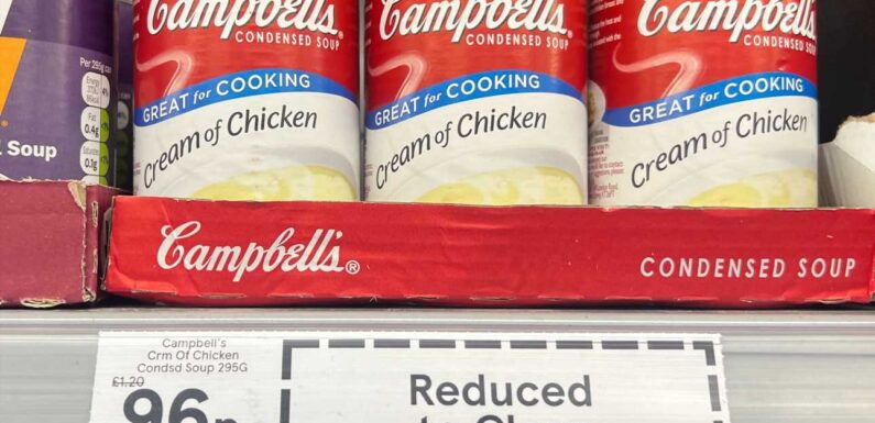 Iconic Campbell's soup disappearing from supermarket shelves – as sought-after cans sell for nearly FIFTY POUNDS online | The Sun