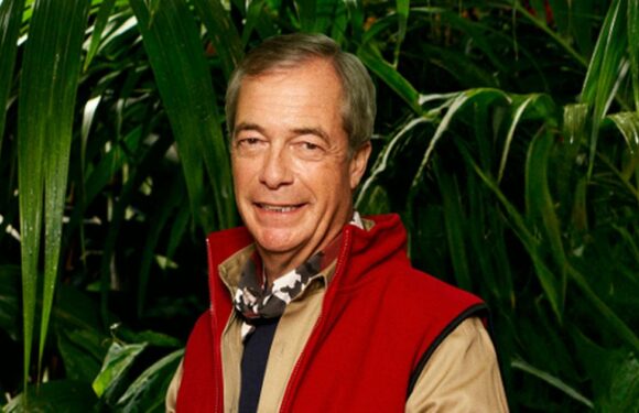 Im A Celebrity will make Nigel Farage man of the people, says political expert