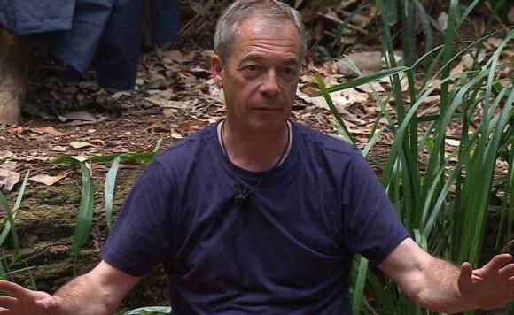 I’m A Celebrity’s Nigel Farage ‘a ticking time bomb’ after Brexit grilling