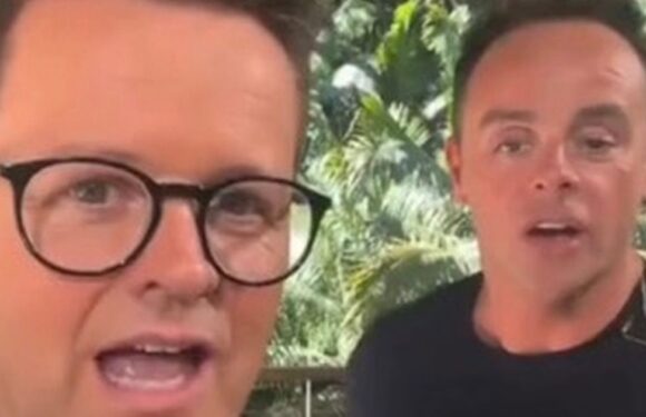 I’m A Celeb’s Ant tells fans ‘shut up’ after request that will ‘never happen’