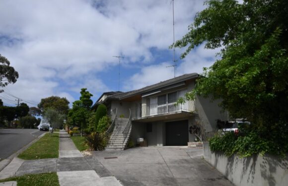 In my Frankenstein suburb, everything has spiralled out of control