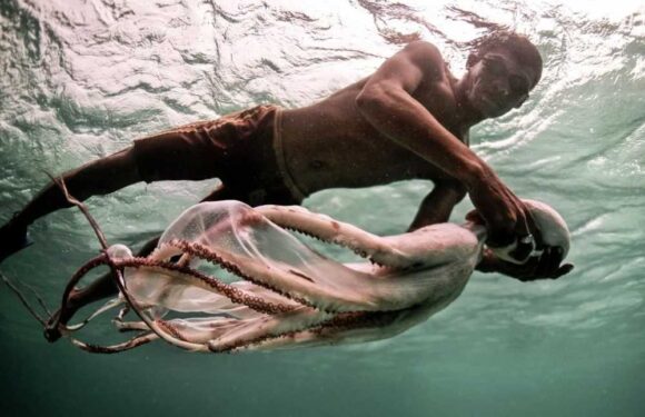 Incredible ancient tribe of fish-people with mutant ‘sea nomad’ gene can hold their breath for TEN MINS to spear dinner | The Sun