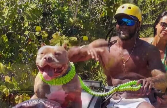 Influencer 'is killed in horror motorbike crash in Brazil'