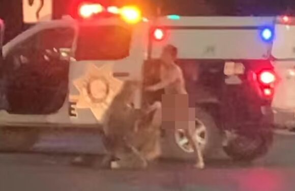 Insane moment NAKED man beats up Las Vegas cop