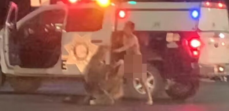 Insane moment NAKED man beats up Las Vegas cop