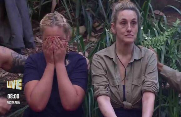 I'm A Celebrity 2023 LIVE — Fans 'relieved' after Grace Dent QUITS the jungle as viewers predict massive camp bust-up | The Sun