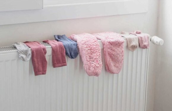 I'm a home expert – here's why you shouldn't dry clothes on your radiator & my top tips for condensation | The Sun